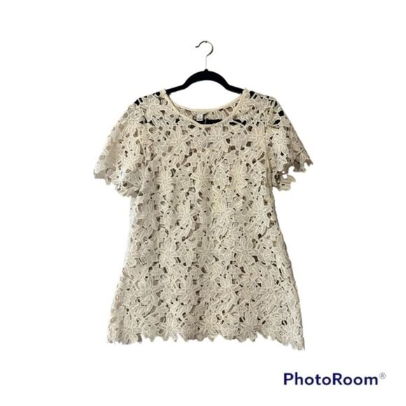 Cato Lace Blouse‎ - Picture 1 of 4